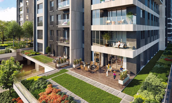 Mesa Cadde - Image 5