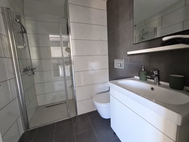 Photograph of a tiled bathroom with a glass shower enclosure, toilet and vanity basin.