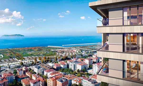 Mesa Cadde - Image 4