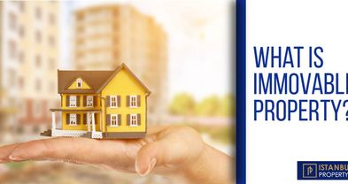 What is Immovable Property?