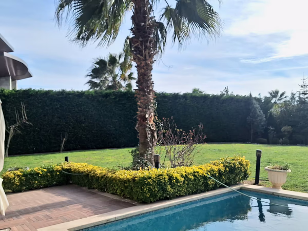 2. El Zehra - Image 2