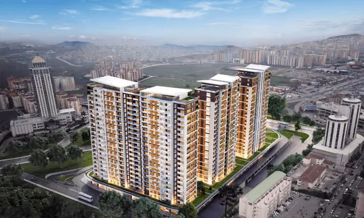 live on the avenue of happiness with project