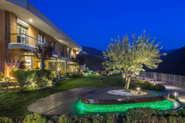 Illuminated residential garden and tree at night.