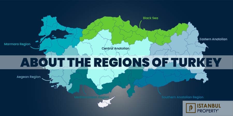 blog-post-image
