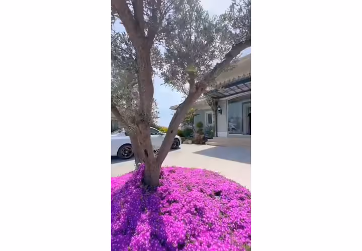 Furnished Jasmina Villa with Private Pool and Winter Garden in Alkent 2000 Buyukcekmece - Image 2