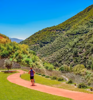 Landscaped walking path beside a wooded valley.