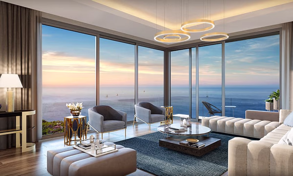 Palm Marin - Image 4