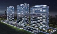Perola - Additional View 1