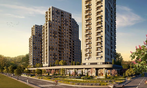 As Concept - Image 3