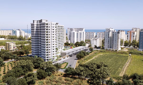 Bulut Gloria - Image 2