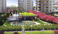 Pruva 34 - Additional View 3
