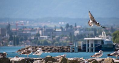 Everything about the Avcilar Area in Istanbul: Living and Investing