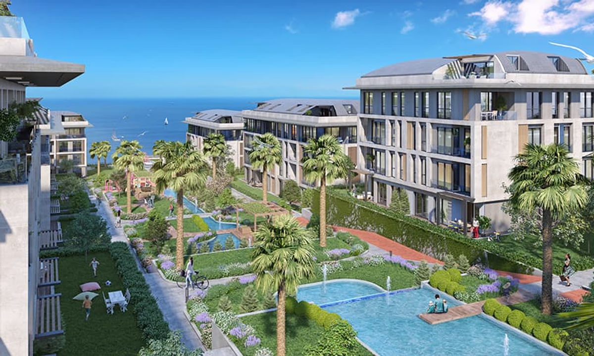 Palm Marin - Image 1