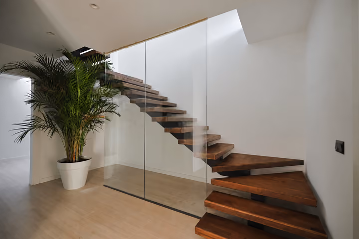Floating wooden staircase with glass balustrades beside an indoor plant.