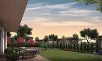 Neva Vita - Additional View 4
