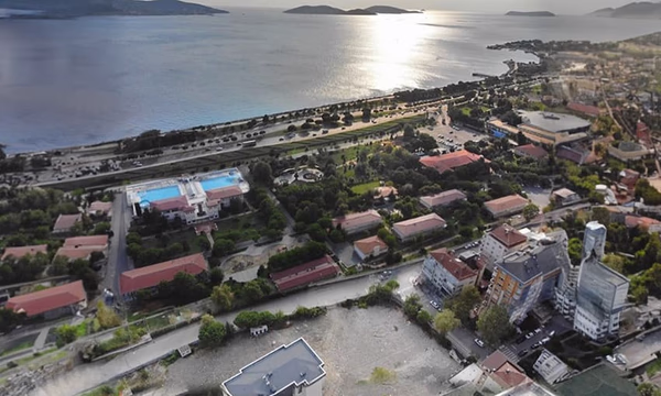 Dragos Marin - Image 4