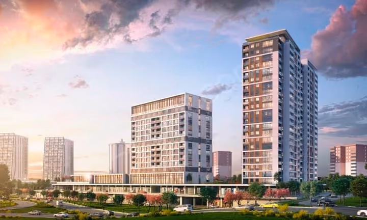 live on the avenue of happiness with project