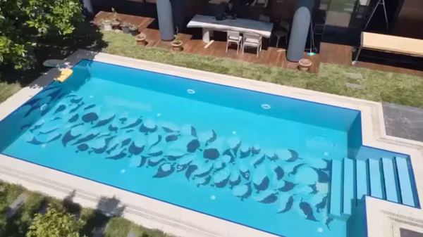 2. El Zehra - Image 2