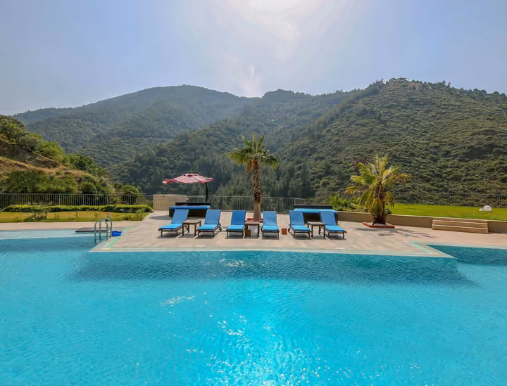 Outdoor swimming pool facing the wooded hillside.