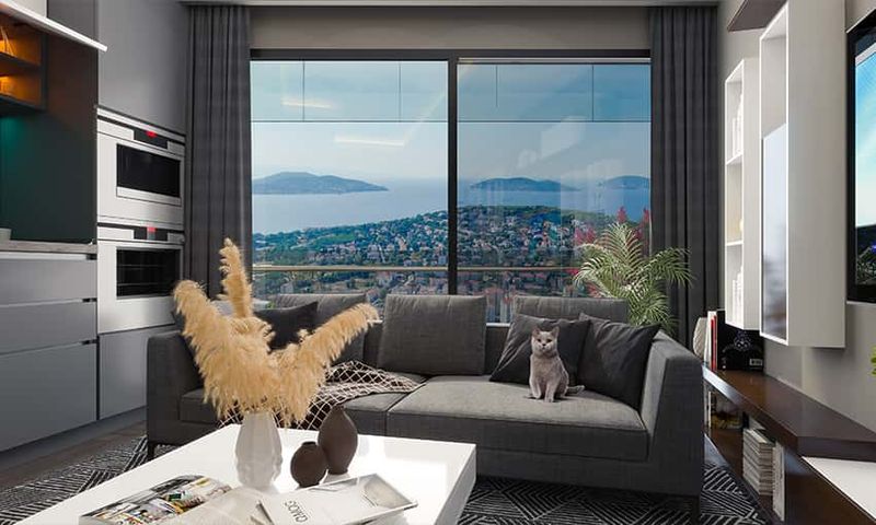 Investment Opportunity in the Wonderful Coast Side City With Sea View in Kartal, Istanbul